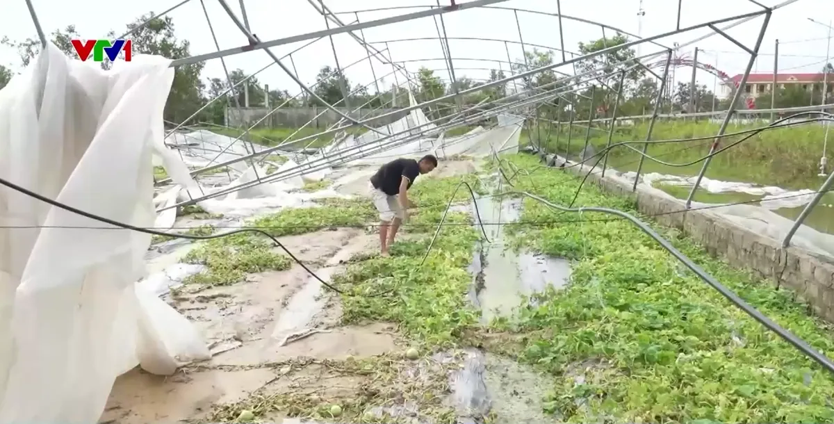 Khắc phục hậu quả b&atilde;o lụt tại Thanh H&oacute;a - Ảnh 3.