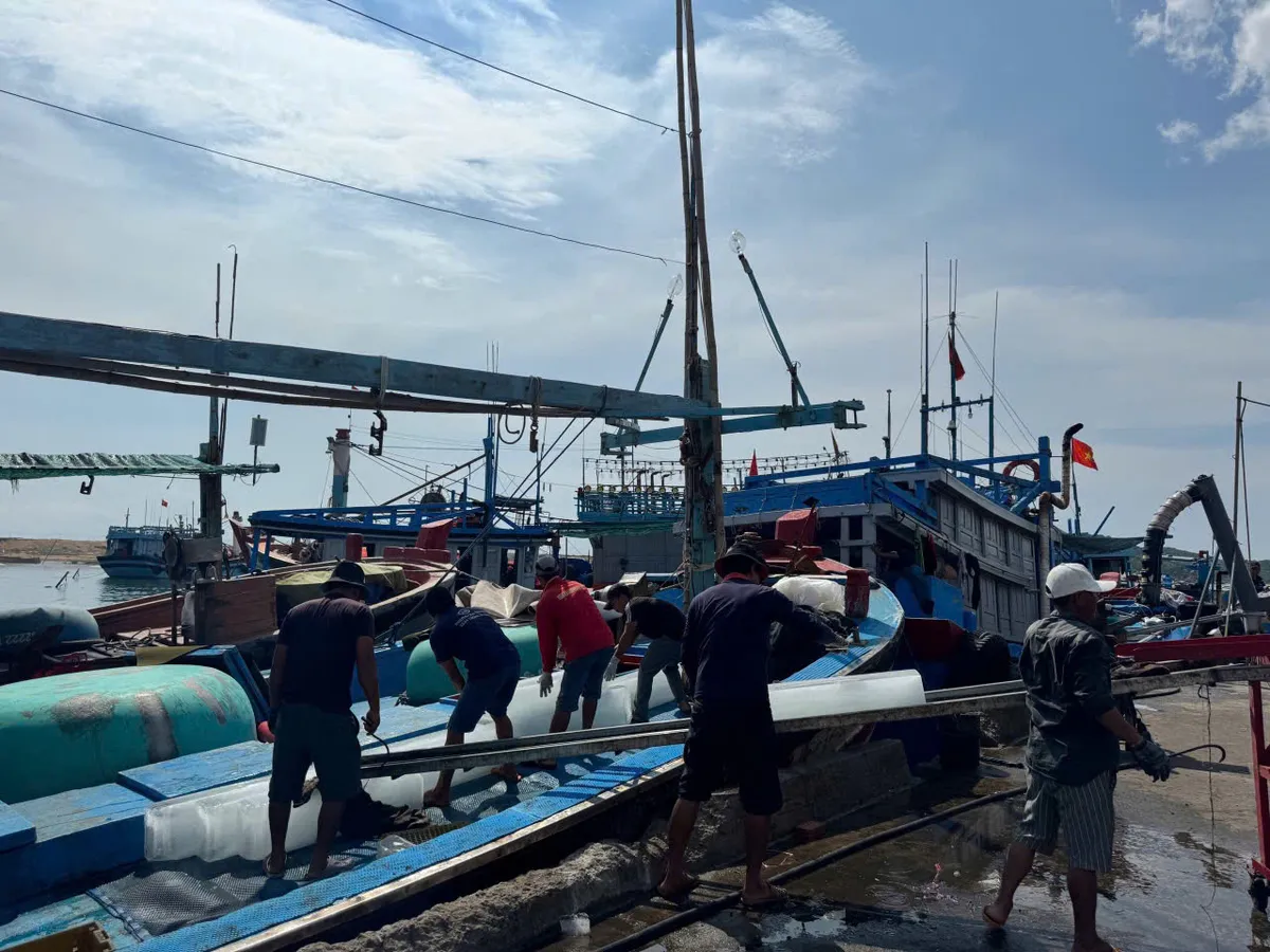Ngư dân Đắk Lắk vui đón Tết Độc lập với khoang tàu đầy ắp cá tôm - Ảnh 3.