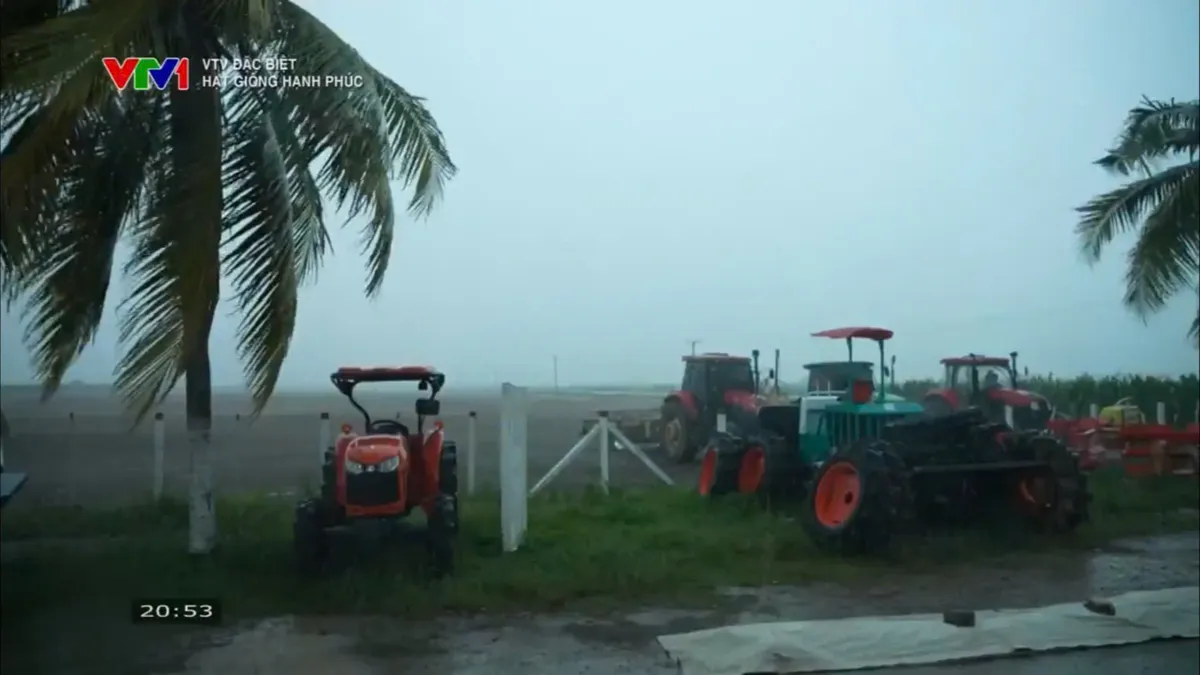 "Hạt giống hạnh phúc": Câu chuyện giản dị về cây lúa Việt gặt mùa vàng ở Cuba  - Ảnh 11.