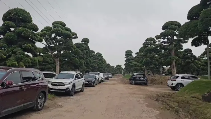 Ấm lòng nghĩa cử cao đẹp của người dân ngày Quốc khánh - Ảnh 4.