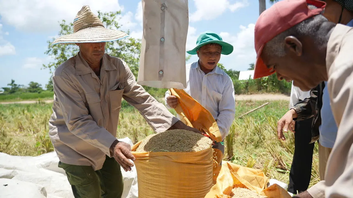 VTV đóng góp nhiều tác phẩm dự thi ấn tượng ở LHP Việt Nam lần thứ XXIV  - Ảnh 2.