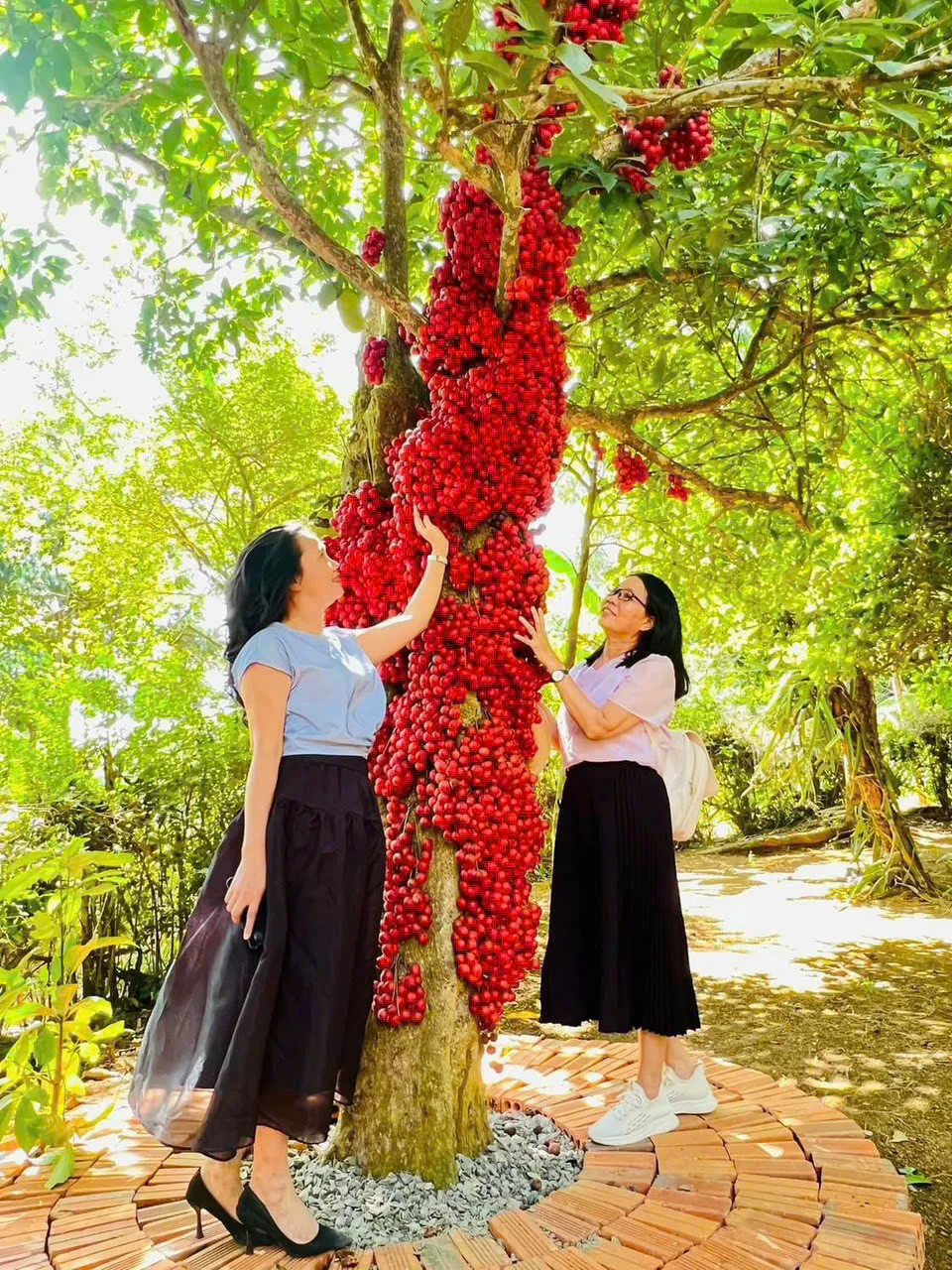 Dịp Lễ Quốc khánh 2/9: Khách du lịch đến khu vực Đông Đắk Lắk nhộn nhịp.- Ảnh 1. Dịp Lễ Quốc khánh 2/9: Khách du lịch đến khu vực Đông Đắk Lắk nhộn nhịp.- Ảnh 1.