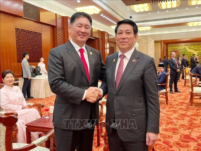 Chủ tịch nước gặp lãnh đạo các nước tại Lễ kỷ niệm chiến thắng phát xít - Ảnh 4.