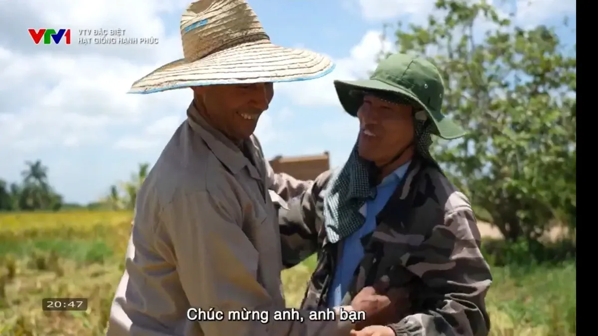 "Hạt giống hạnh phúc": Câu chuyện giản dị về cây lúa Việt gặt mùa vàng ở Cuba  - Ảnh 13.