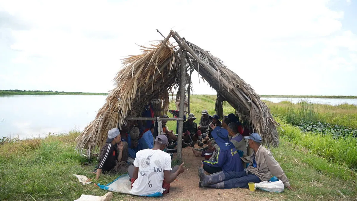 "Hạt giống hạnh phúc": Câu chuyện giản dị về cây lúa Việt gặt mùa vàng ở Cuba  - Ảnh 8.