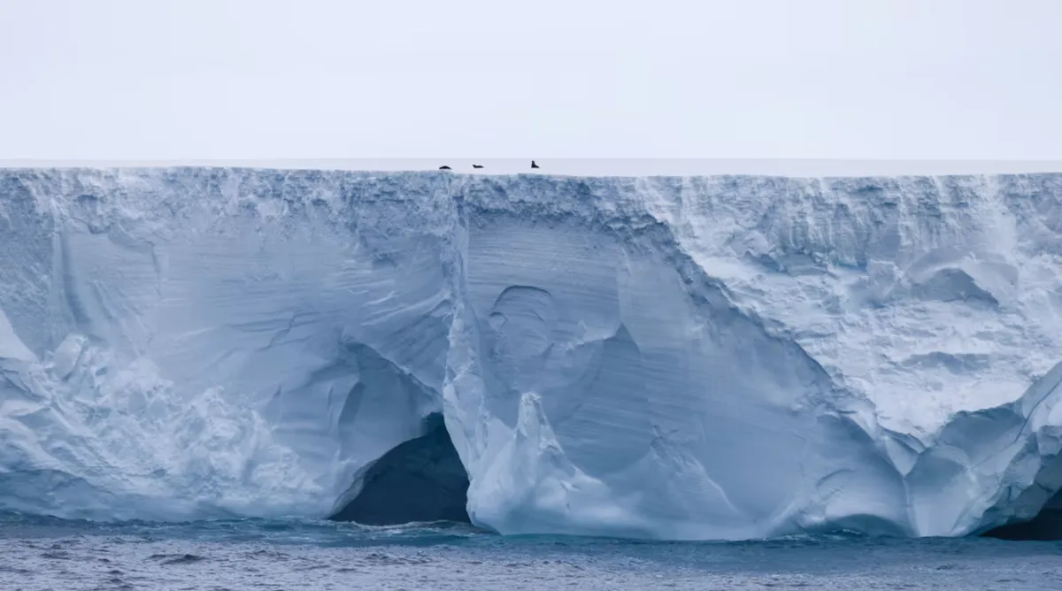 Tảng băng tr&ocirc;i lớn nhất thế giới tan r&atilde; sau 40 năm - Ảnh 1.