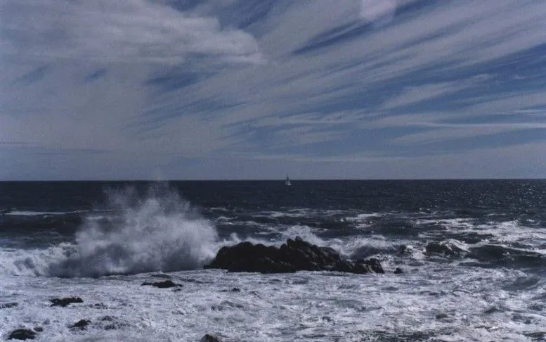 Ảnh minh họa: VGP