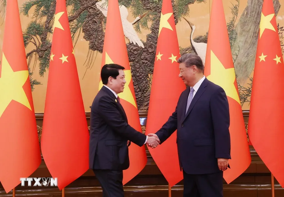 Chủ tịch nước Lương Cường hội đàm với Tổng Bí thư, Chủ tịch nước Trung Quốc Tập Cận Bình - Ảnh 1.