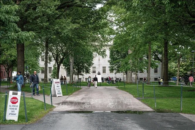 Tòa án Mỹ hủy bỏ quyết định cắt giảm hơn 2 tỷ USD tài trợ cho Đại học Harvard - Ảnh 1.