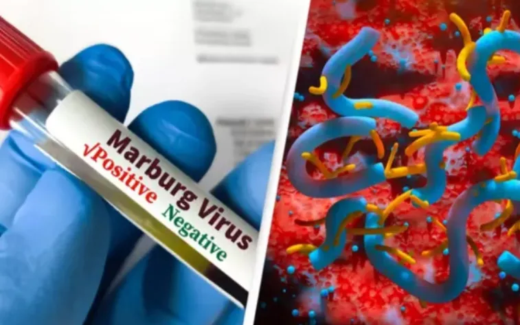 Ảnh minh họa: Unilad