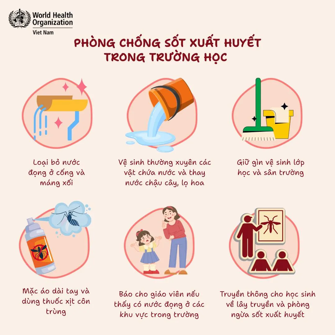 Năm học mới đã đến, WHO khuyến cáo việc đơn giản cần làm mỗi ngày - Ảnh 1.