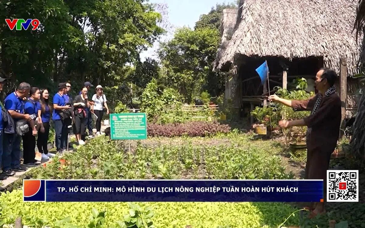 Du lịch nông nghiệp tạo đòn bẩy cho kinh tế nông thôn Du lịch nông nghiệp tạo đòn bẩy cho kinh tế nông thôn