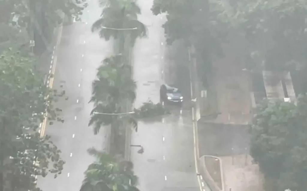 Một chiếc ô tô di chuyển qua cành cây đổ khi bão Tapah quét qua Hong Kong sáng 8/9/2025. (Ảnh: AP)