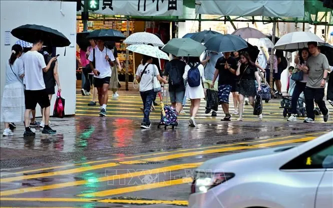 Người dân di chuyển dưới trời mưa tại Hong Kong (Trung Quốc), ngày 2/8/2025 (Ảnh: THX/TTXVN) Người dân di chuyển dưới trời mưa tại Hong Kong (Trung Quốc), ngày 2/8/2025 (Ảnh: THX/TTXVN)