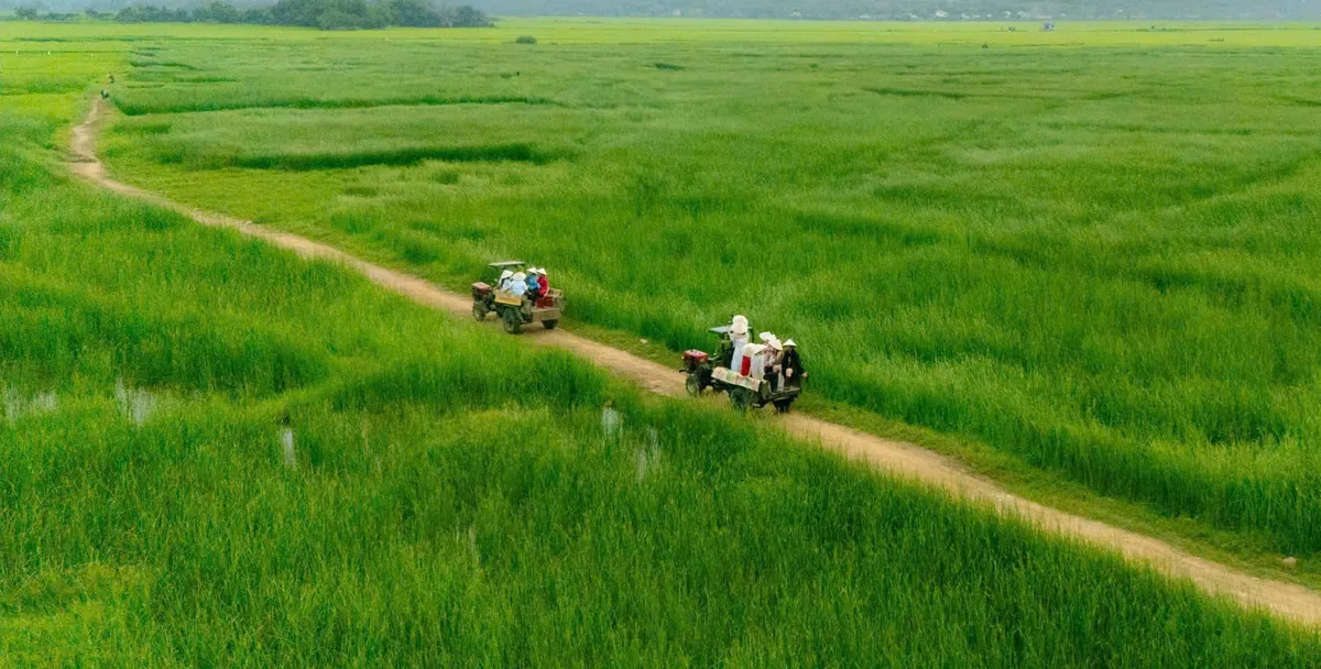Du lịch số và du lịch xanh:
2 trụ cột phát triển du lịch bền vững- Ảnh 1.