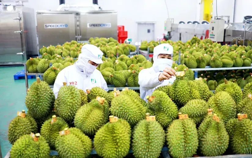 Các thị trường tăng nhập khẩu nông sản Việt Các thị trường tăng nhập khẩu nông sản Việt