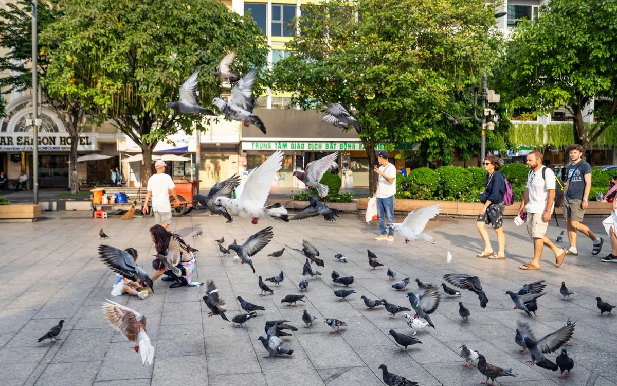 Du lịch Việt Nam 2025: Lập kỷ lục thu hút du khách nhờ chính sách thông thoáng và sự kiện quốc gia. Du lịch Việt Nam 2025: Lập kỷ lục thu hút du khách nhờ chính sách thông thoáng và sự kiện quốc gia.