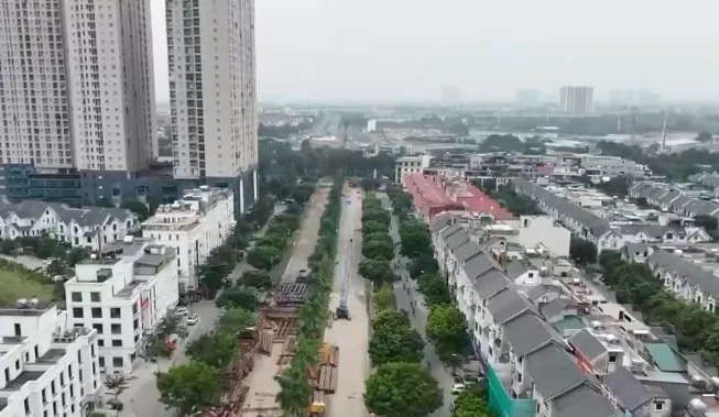 Hà Nội di dời hơn 2.600 cây xanh để nhường đất làm nút giao Vành đai 3.5  - Ảnh 1.