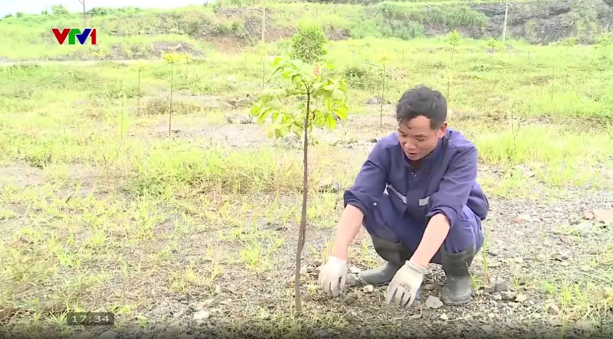 Ph&ograve;ng ngừa sạt lở b&atilde;i thải than trong m&ugrave;a mưa b&atilde;o - Ảnh 1.