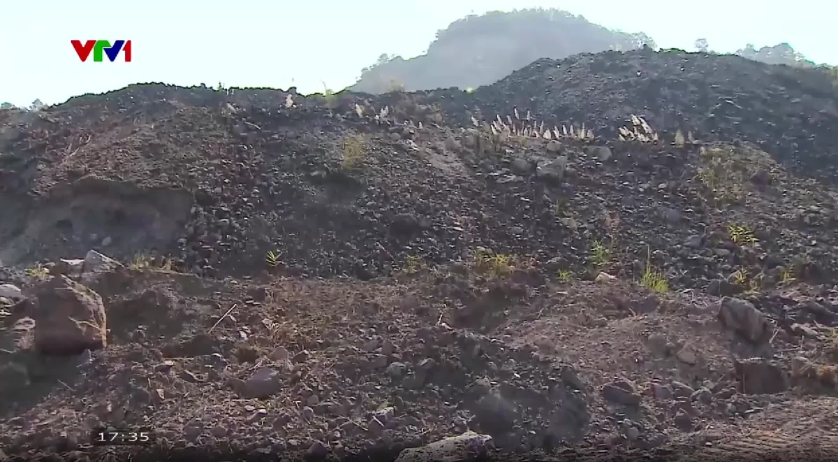 Ph&ograve;ng ngừa sạt lở b&atilde;i thải than trong m&ugrave;a mưa b&atilde;o - Ảnh 3.