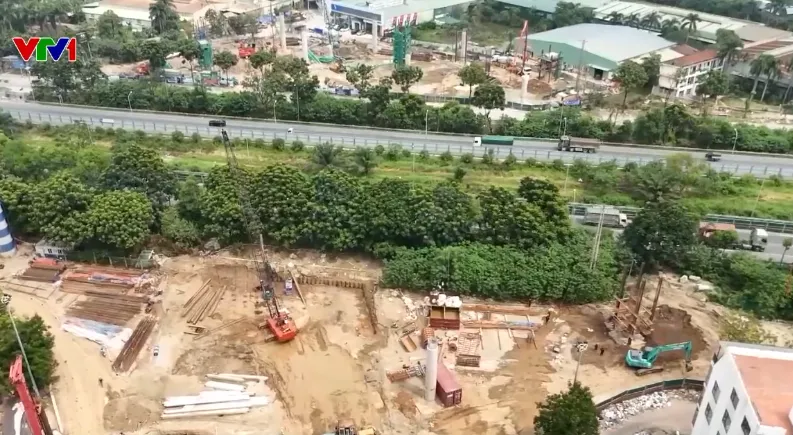 Hà Nội di dời hơn 2.600 cây xanh để nhường đất làm nút giao Vành đai 3.5  - Ảnh 2.