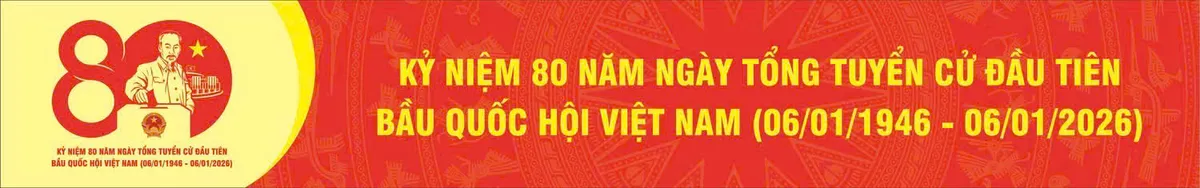 Công bố mẫu logo kỷ niệm 80 năm Ngày Tổng tuyển cử đầu tiên bầu Quốc hội Việt Nam - Ảnh 3.