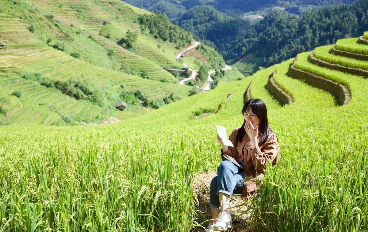 Mùa vàng trên non cao mời gọi bước chân lữ khách - Ảnh 11.