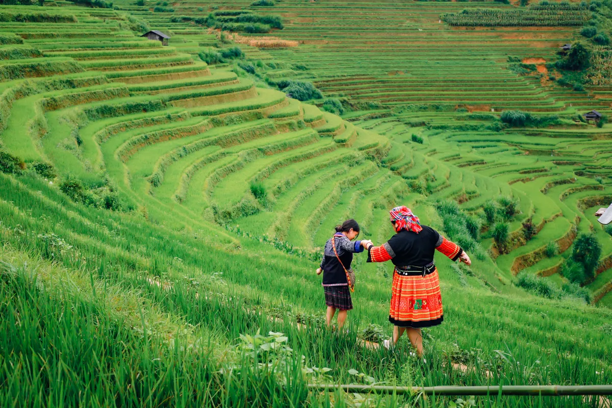 Mùa vàng trên non cao mời gọi bước chân lữ khách - Ảnh 7.