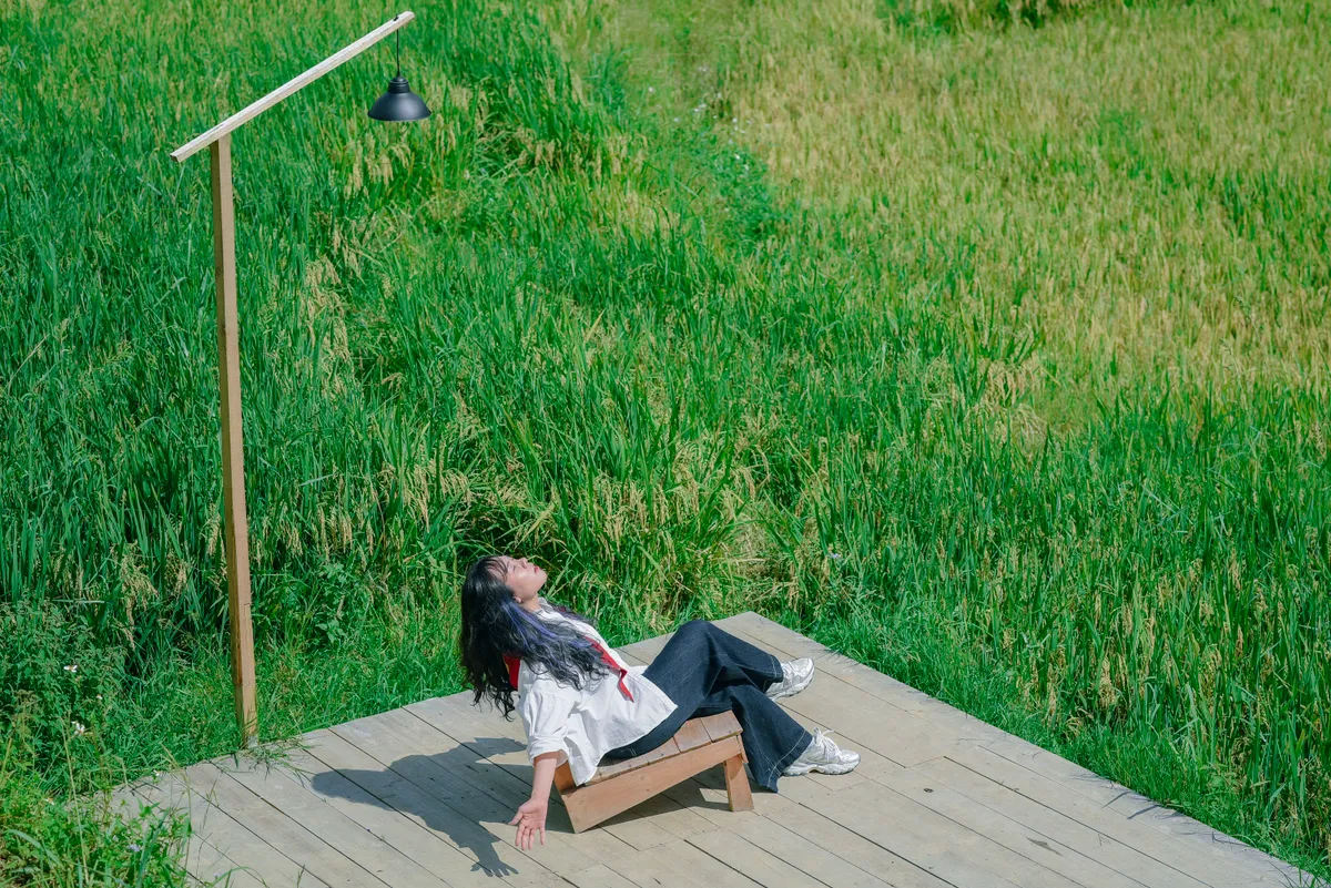 Mùa vàng trên non cao mời gọi bước chân lữ khách - Ảnh 4.