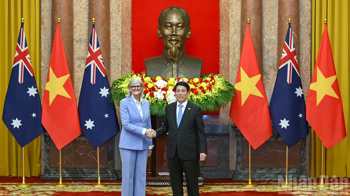 Chủ tịch nước Lương Cường hội đàm với Toàn quyền Australia Sam Mostyn - Ảnh 2.