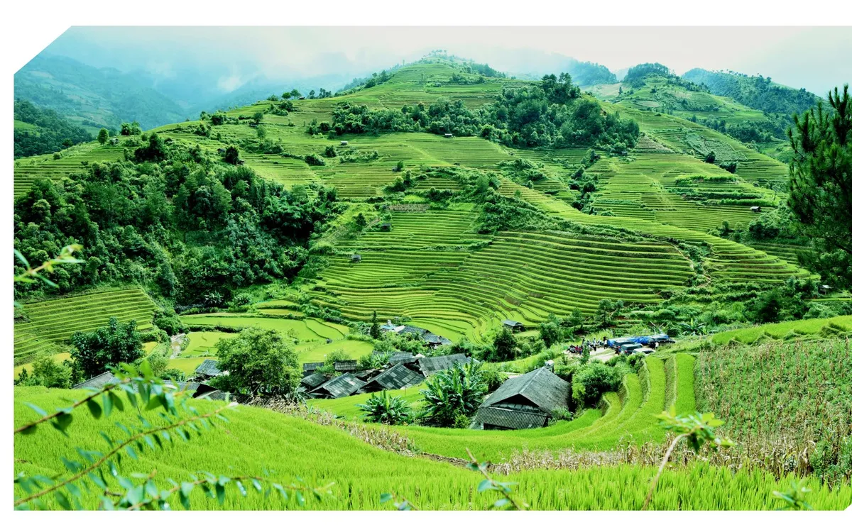 Nông nghiệp tuần hoàn, gia tăng giá trị kinh tế, nâng sức cạnh tranh  Nông nghiệp tuần hoàn, gia tăng giá trị kinh tế, nâng sức cạnh tranh
