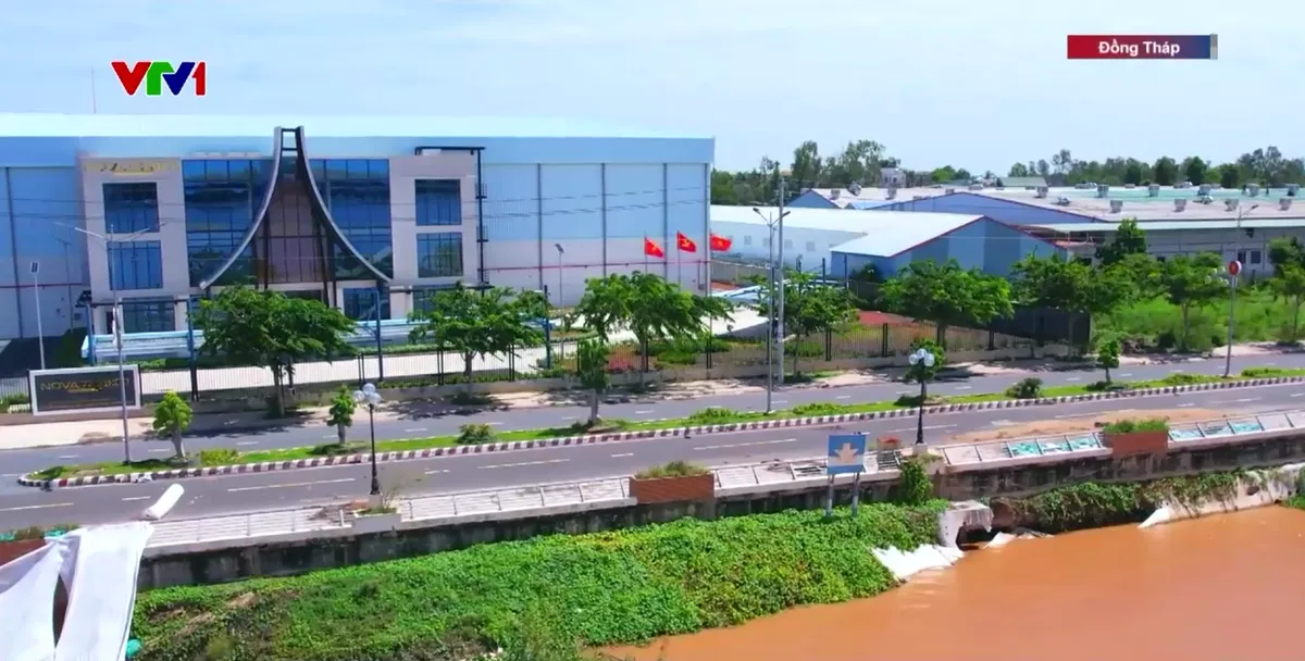 Khẩn cấp khắc phục sạt lở k&egrave; Thường Thới Tiền - Ảnh 2.