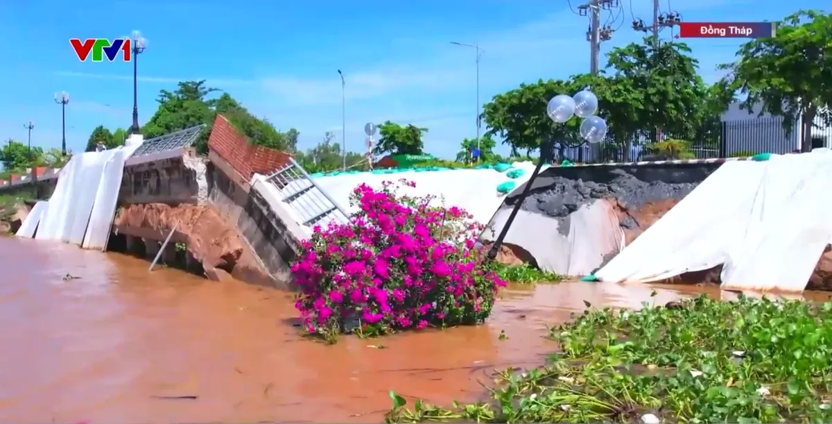 Khẩn cấp khắc phục sạt lở k&egrave; Thường Thới Tiền - Ảnh 1.