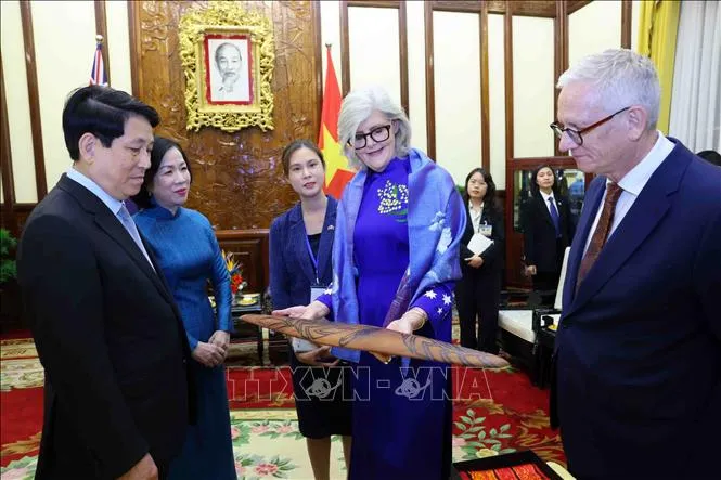 Chủ tịch nước Lương Cường chủ trì chiêu đãi cấp Nhà nước Toàn quyền Australia - Ảnh 4.