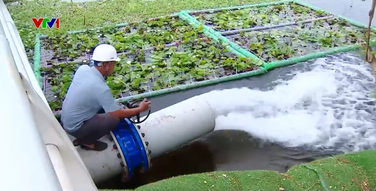 Đảm bảo nguồn nước qua xử lý bổ cập vào hồ Tây - Ảnh 1.