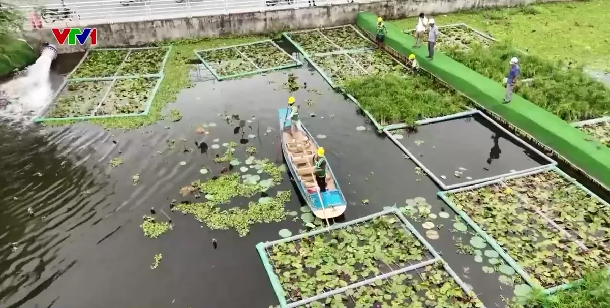 Đảm bảo nguồn nước qua xử lý bổ cập vào hồ Tây - Ảnh 3.