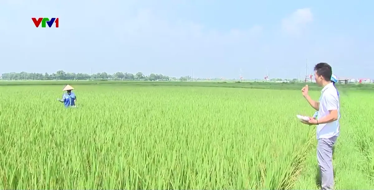 Khó khăn nhân lực xây dựng nông thôn mới - Ảnh 4.