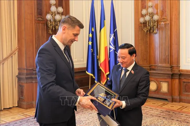 Thúc đẩy quan hệ hữu nghị truyền thống và hợp tác tốt đẹp giữa Việt Nam và Romania - Ảnh 1.