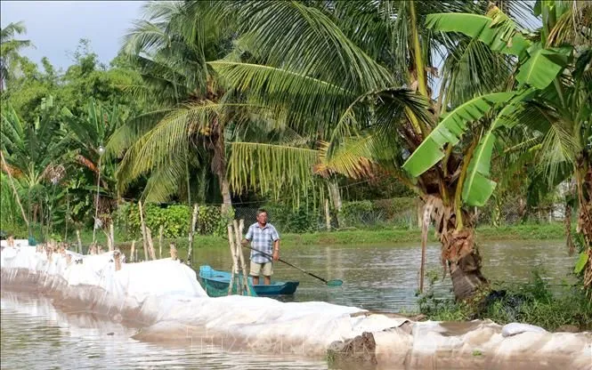 Ao cá của gia đình ông Nguyễn Văn Hồng (xã Tân Long Hội, tỉnh Vĩnh Long) đang nằm bên bờ sạt lở. Ao cá của gia đình ông Nguyễn Văn Hồng (xã Tân Long Hội, tỉnh Vĩnh Long) đang nằm bên bờ sạt lở.