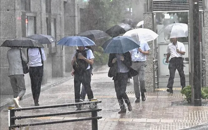 Mưa lớn tại Tokyo, Nhật Bản ngày 11/9/2025 (Ảnh: Kyodo/TTXVN) Mưa lớn tại Tokyo, Nhật Bản ngày 11/9/2025 (Ảnh: Kyodo/TTXVN)