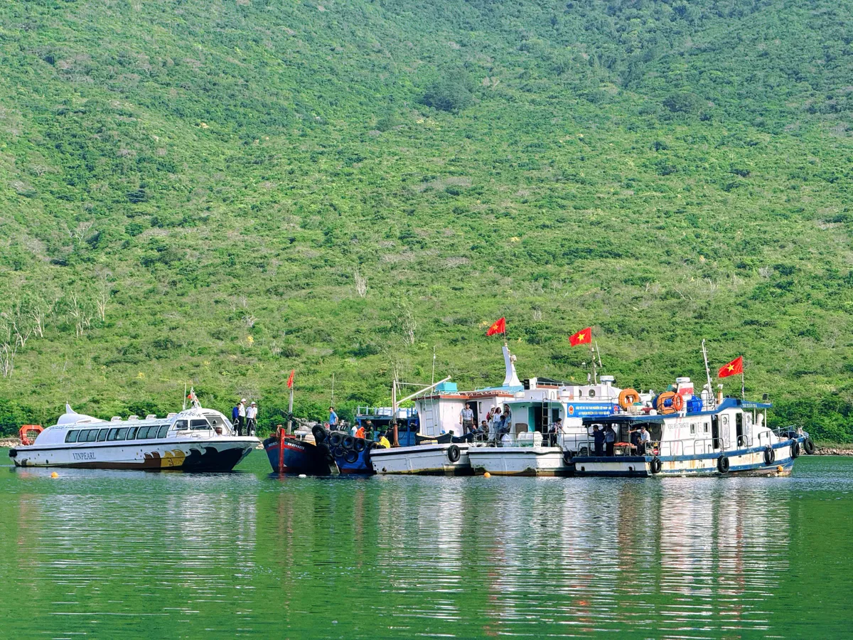 Xây dựng thương hiệu Khánh Hòa - điểm đến xanh toàn diện- Ảnh 2. Xây dựng thương hiệu Khánh Hòa - điểm đến xanh toàn diện- Ảnh 2.