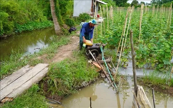 Người dân ở xã Phong Hòa (tỉnh Đồng Tháp) đặt máy bơm túc trực ngoài đồng để kịp thời bơm rút nước khi có mưa kết hợp triều cường.