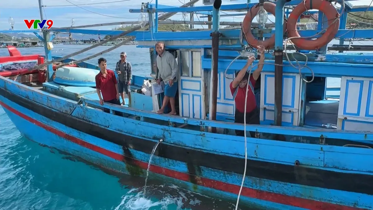 Khánh Hòa: Mở đợt cao điểm kiểm soát ngăn chặn vi phạm IUU Khánh Hòa: Mở đợt cao điểm kiểm soát ngăn chặn vi phạm IUU