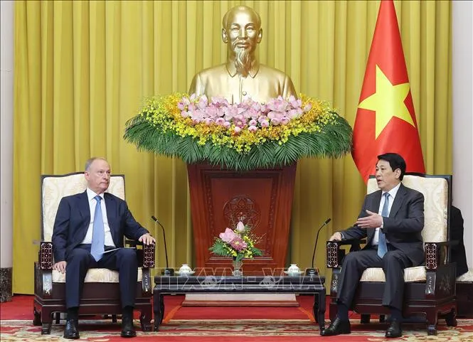 Chủ tịch nước Lương Cường tiếp Trợ lý Tổng thống Nga, Chủ tịch Hội đồng Biển Liên bang Nga - Ảnh 1.