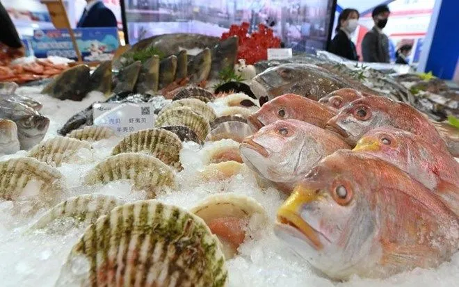Hải sản sống dễ bị nhiễm vi khuẩn ăn thịt người Vibrio vulnificus (Ảnh: Tân Hoa Xã) Hải sản sống dễ bị nhiễm vi khuẩn ăn thịt người Vibrio vulnificus (Ảnh: Tân Hoa Xã)