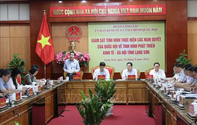 Giám sát kết quả thực hiện các nghị quyết của Quốc hội tại Lạng Sơn - Ảnh 1.