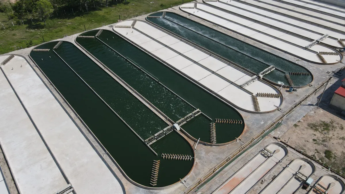 Tảo Spirulina - Siêu thực phẩm xanh cho sức khỏe và sắc đẹp- Ảnh 3.