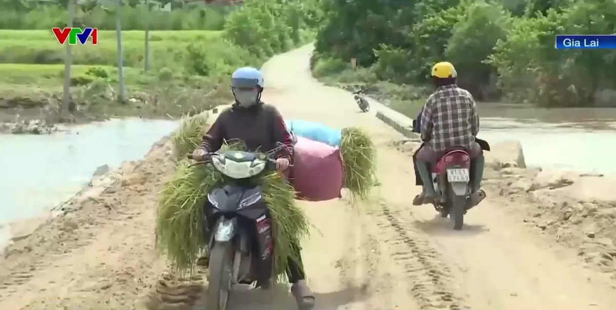 Người dân xã Ia Pa mong mỏi có cây cầu kiên cố vượt sông Đắk Pi Hao - Ảnh 2.