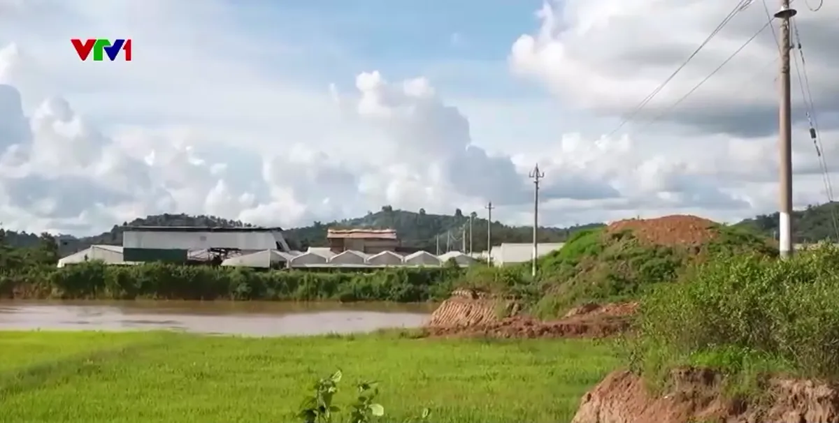 Hệ lụy từ việc khai th&aacute;c đất ruộng để sản xuất gạch ở Đắk Lắk - Ảnh 1.