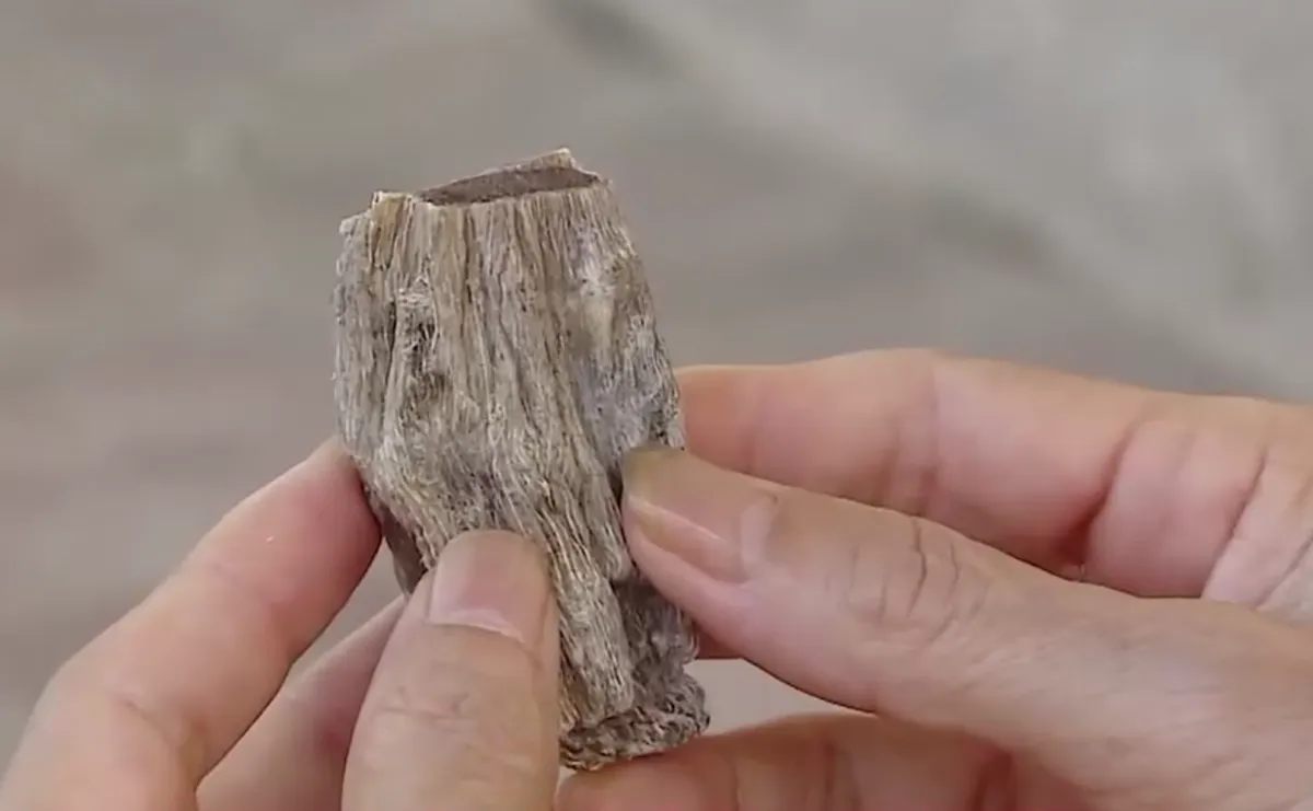 Cảnh báo thủ đoạn lừa đảo bán “củ thuốc quý” trong bệnh viện - Ảnh 2.